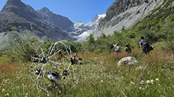 Roboter GOAT kommt durch Formveränderung durch jedes Terrain