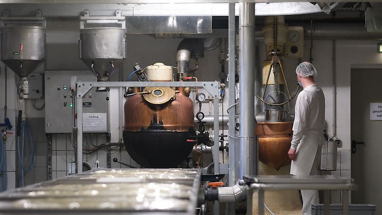 Einwanderer sind in vielen Berufen unverzichtbar