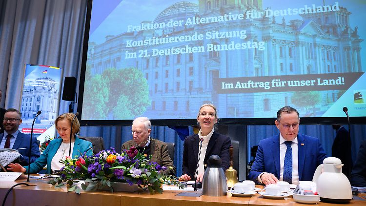 Wie die AfD-Fraktion mit ihren Radikalen umgehen will