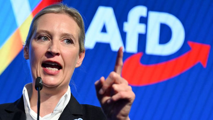 Die AfD beansprucht mehr Mitsprache