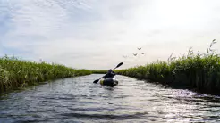 Neuer c't Fotografie Fotowettbewerb: Menschen in Bewegung