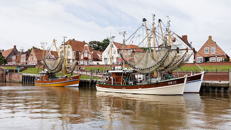 Krabbenfang bricht ein - mehr Miesmuscheln