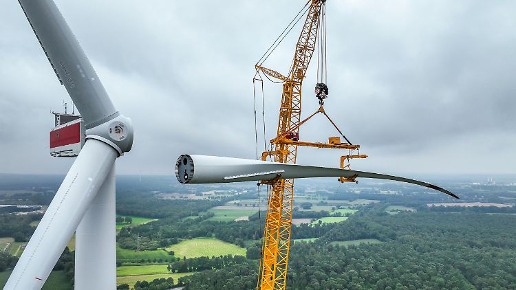 Unternehmen fordern mehr Klimaschutz von Schwarz-Rot