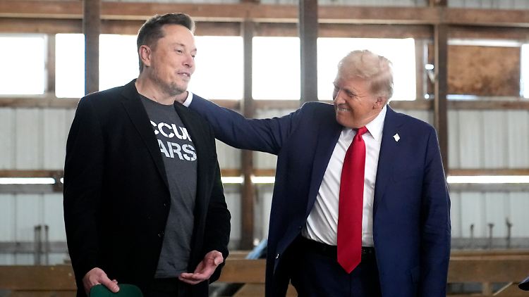 Donald Trump will Elon Musk mit Kauf eines Teslas unterstützen