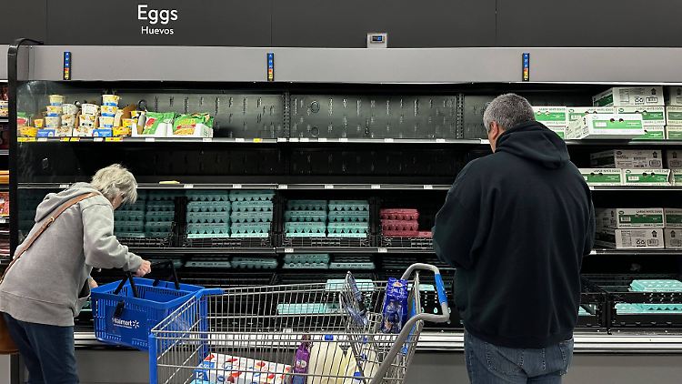 USA bitten Europa um Eier-Exporte