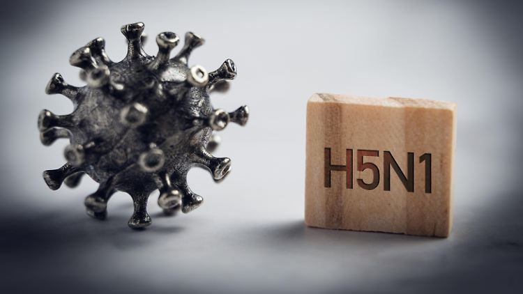 "Wir kennen das Ausmaß des Vogelgrippe-Ausbruchs nicht"