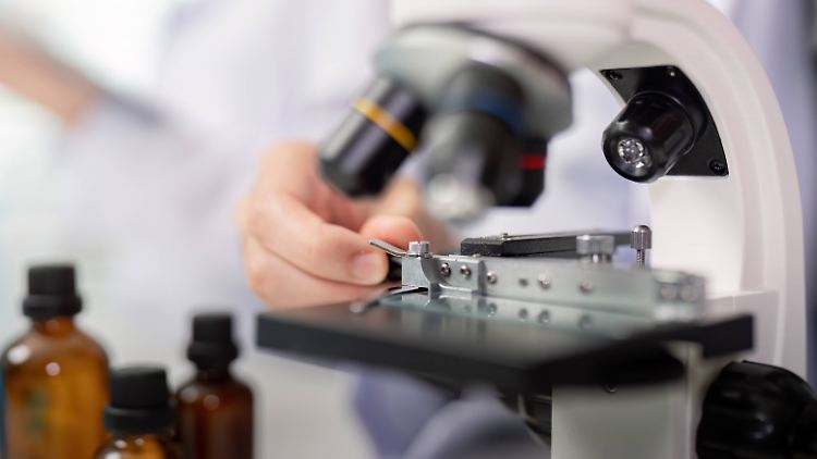 Wirtschaftsweise empfiehlt Anwerbung von US-Eliteforschern