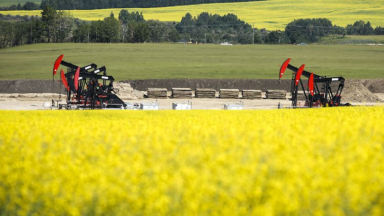 Kanada klagt gegen Chinas Agrar- und Fischerei-Zölle