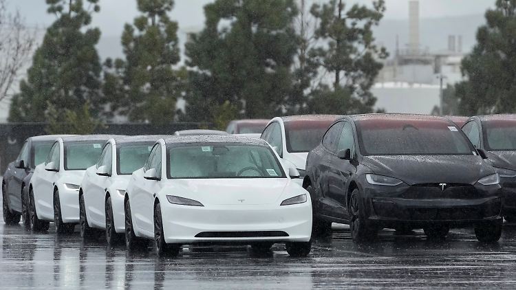 Fuhrparkchefs &uuml;berdenken Tesla-K&auml;ufe