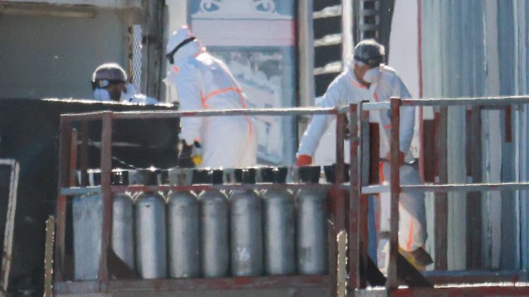 Erstmals Vogelgrippe bei Schaf in Großbritannien nachgewiesen