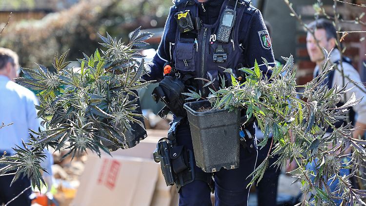 Polizei sieht Cannabisgesetz als "Mängelexemplar"