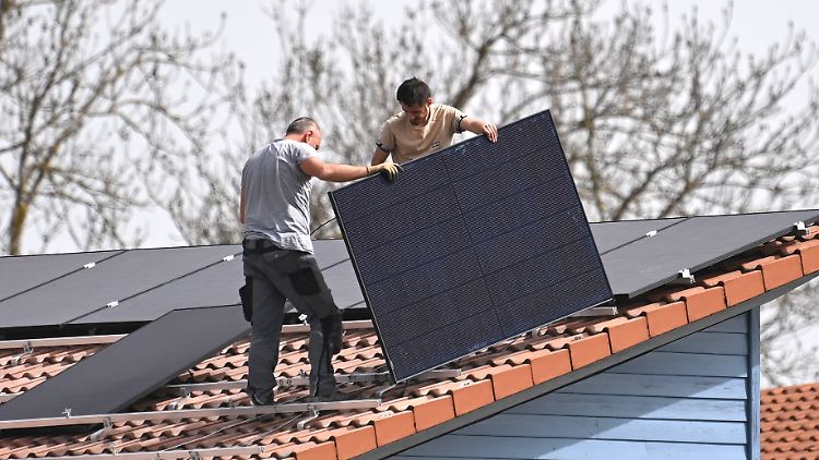 "Einstellungen aufgrund von Kompetenz sind in Deutschland selten"