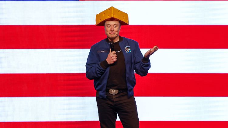 Musk tritt mit Käsehut auf und verteilt Millionenschecks