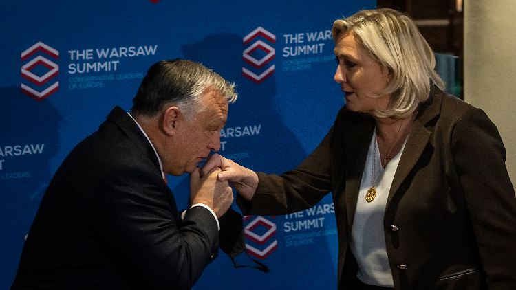 Europas Rechtspopulisten zu Le-Pen-Urteil: "Kriegserklärung Brüssels"