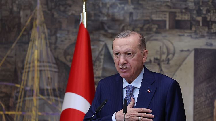 So könnte sich Erdogan noch für Jahre seine Macht sichern
