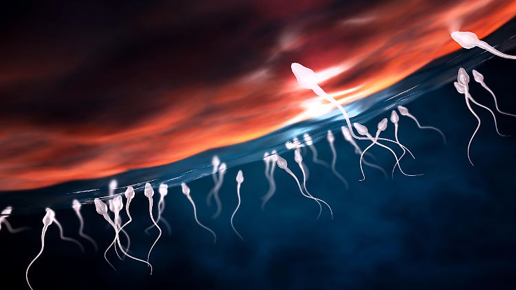 Hormonfreie Pille für Männer geht in die heiße Phase