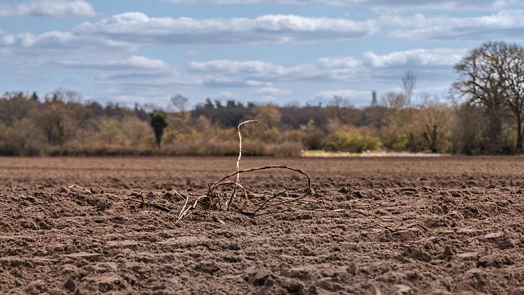 Europa erlebt Temperaturrekord