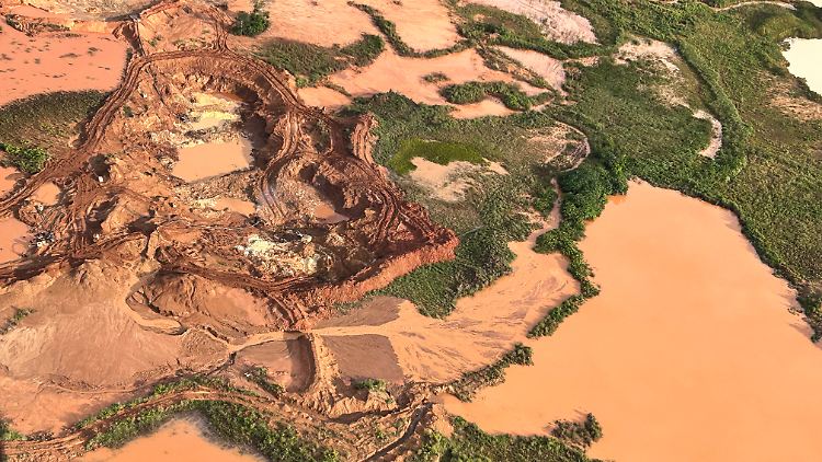 Illegale Goldschürfer verwüsten Amazonas-Regenwald