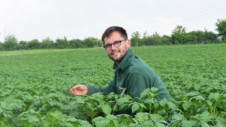 "Die Hälfte der Bauernhöfe wird 2040 verschwunden sein"