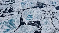 Meereis in der Arktis hat geringste Ausdehnung seit 1979
