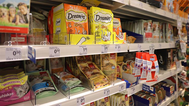 Deutsche geben immer mehr für Haustiere aus