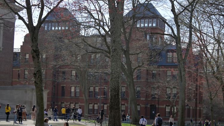 "Harvard ist ein Witz" - Trump spricht Uni Qualifikation ab