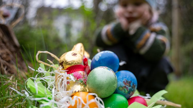 Schoko-Hasen werden teuer, gefärbte Eier knapp