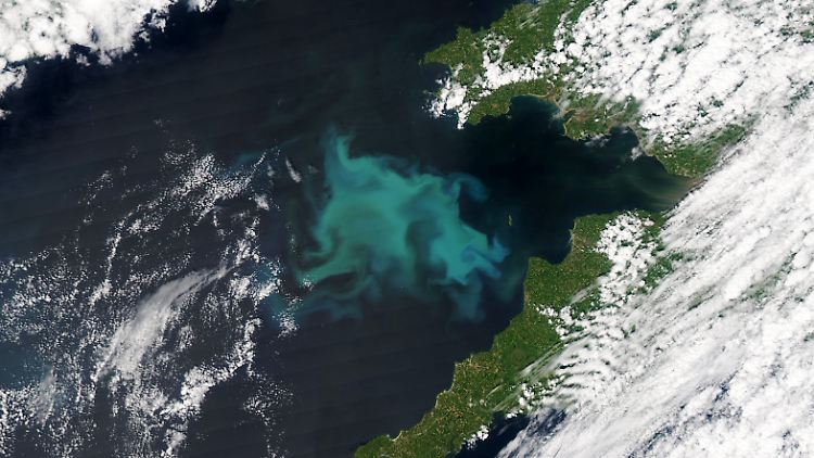 Was hat es mit dem mysteriösen Meeresleuchten auf sich?