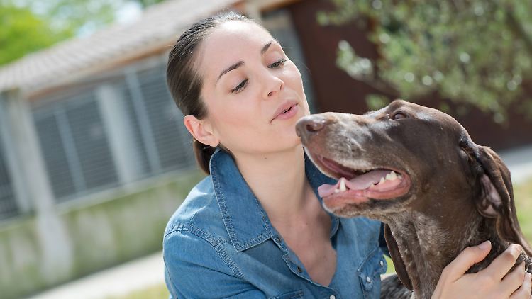 Studie: Darum tun Hunde Menschen so gut