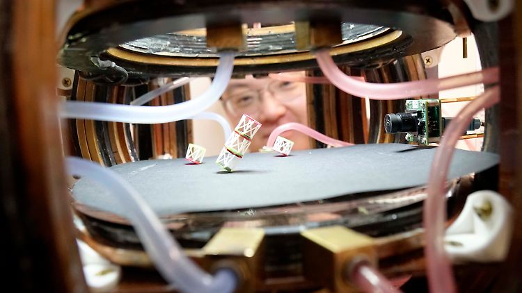 Neues Material kann Form ändern und sich bewegen