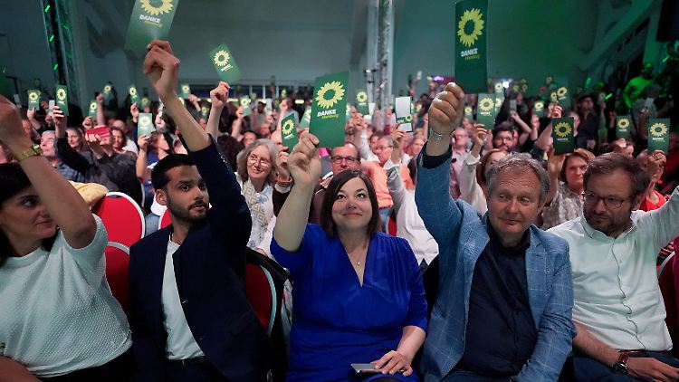 Hamburger Grüne stimmen für Koalition mit SPD
