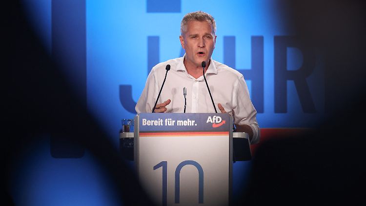 Immunit&auml;t von AfD-Politiker Bystron aufgehoben