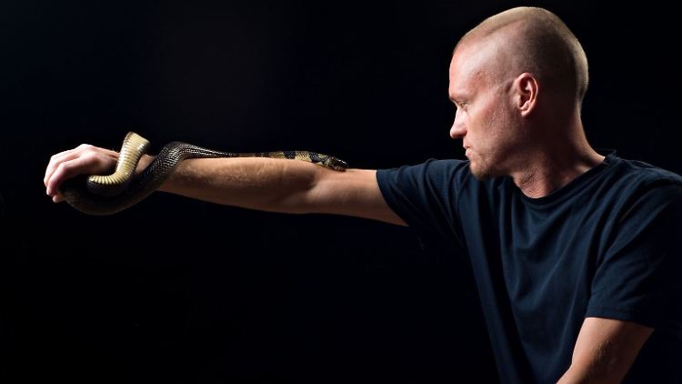 Mann lässt sich Hunderte Male von Schlangen beißen