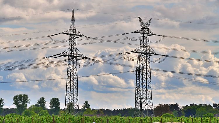 Warum Netzagentur-Chef Müller Strompreiszonen ablehnt