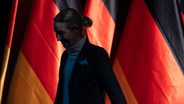 Das schreibt der Verfassungsschutz in seinem AfD-Gutachten