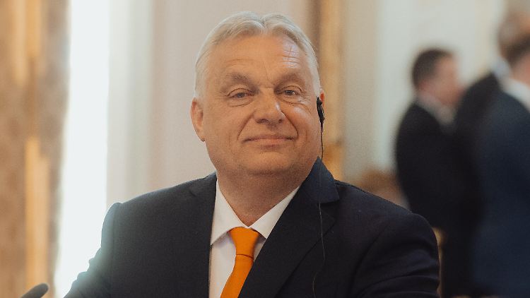 Orban-Regierung will schwarze Liste für NGOs einführen
