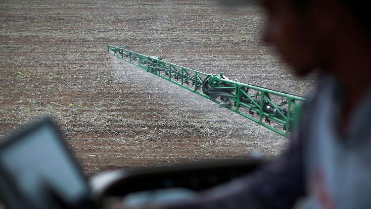 Bayer erwägt Insolvenz für Monsanto, um Glyphosat-Kläger loszuwerden