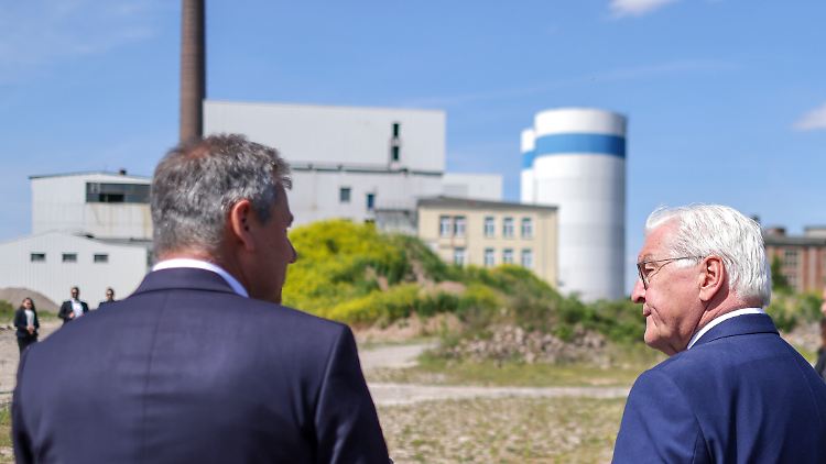 Steinmeier ermahnt Regierung zu besserem Auftreten