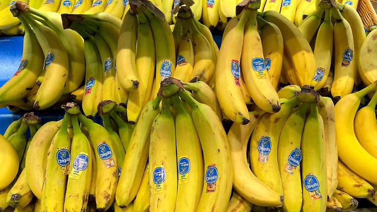 Chiquita feuert Tausende streikende Mitarbeiter