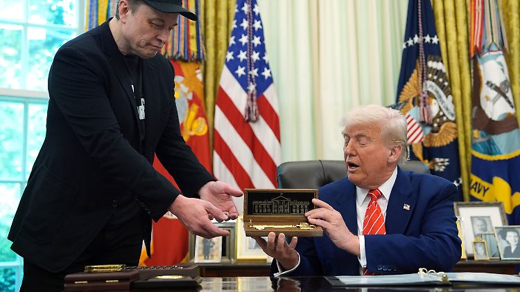Trump schenkt Musk zum Abschied vergoldeten Schlüssel