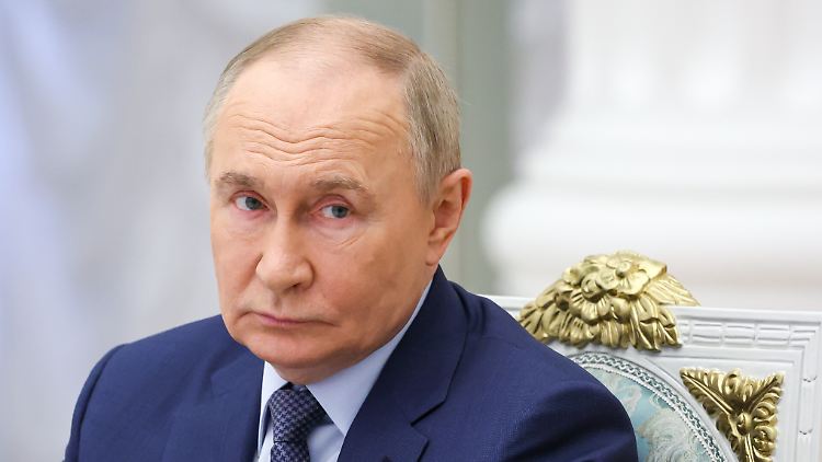 Putin räumt Kartoffelmangel in Russland ein