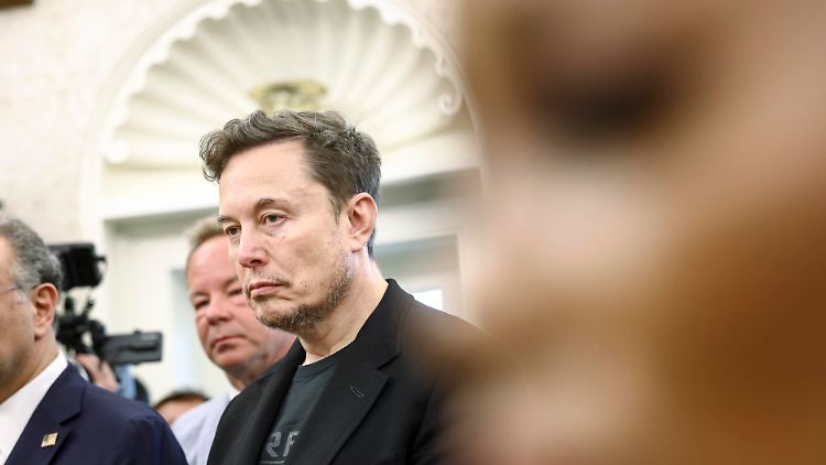 Elon Musk tritt von Regierungs-Posten ab