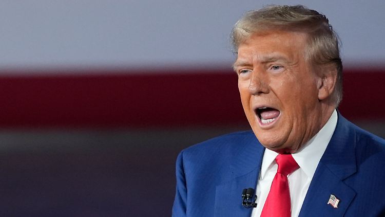 Als jage Trump mit dem Flammenwerfer durch die Bibliothek