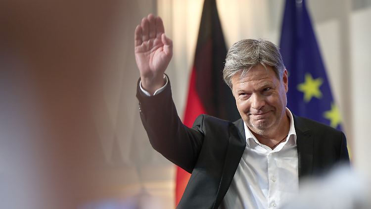 Ohne Robert sind die Grünen grau