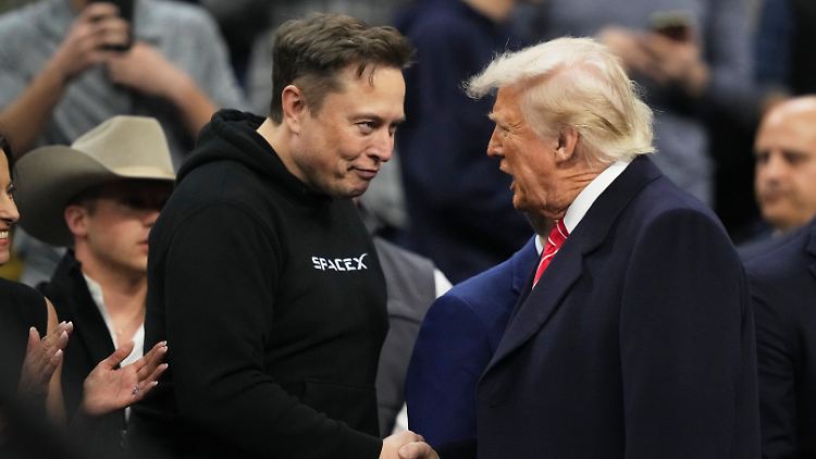 Trump und Musk sollen telefonieren - und sich vertragen