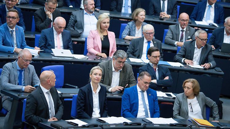 AfD will Minister für Verschwendung haftbar machen