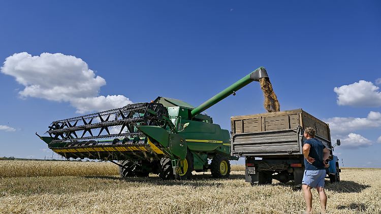 Ukraine verliert &uuml;ber Nacht EU-Zollbefreiung