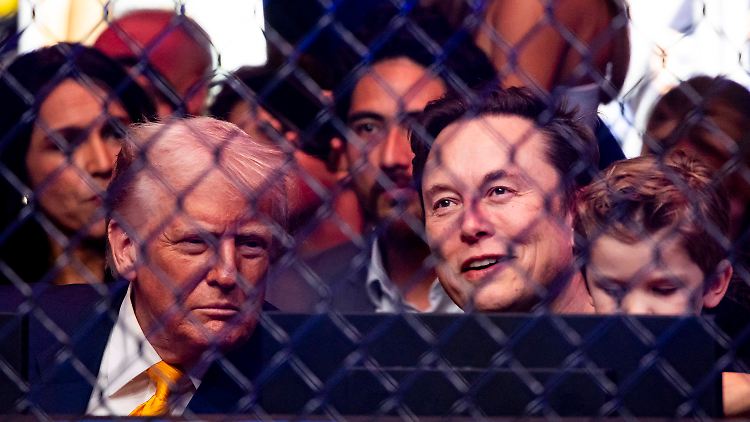 Die Seifenoper kann schnell zum Horrorstreifen werden