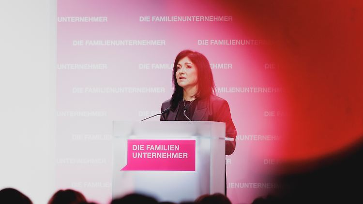 "Die Gaskraftwerke von Katherina Reiche sind genau richtig"