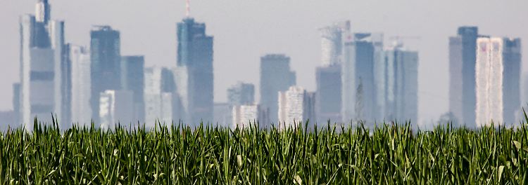 Welche deutschen St&auml;dte am meisten unter Hitze leiden